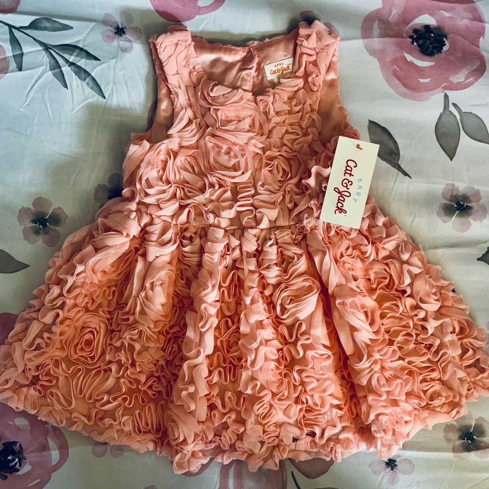 Pink Rose Baby Girl Dress
